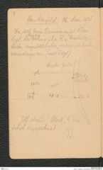 Seite 10, Tagebuch "Hankenfeld" (NHMW-PRAE-BBB-33)